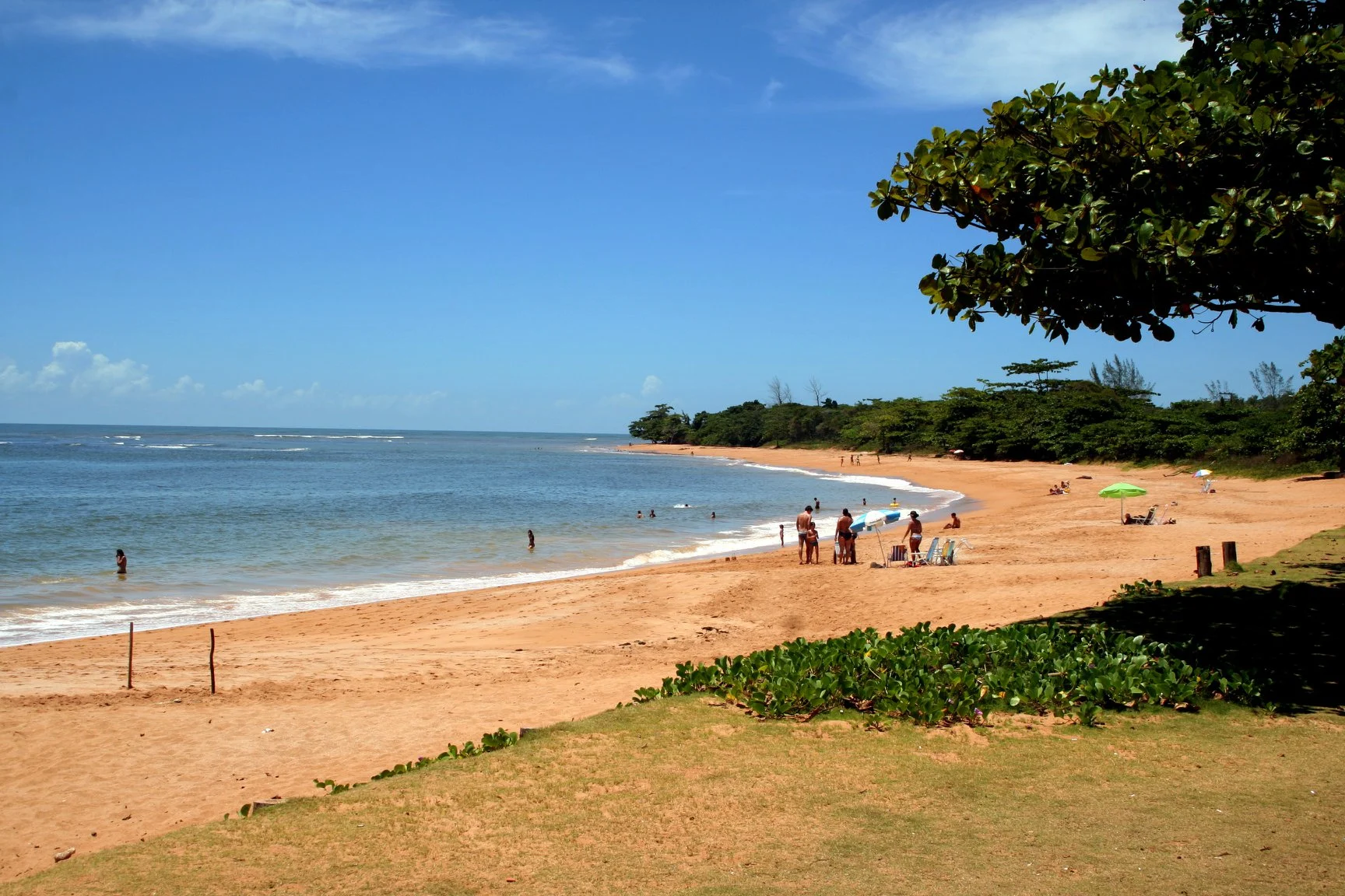 Foto do album Aracruz